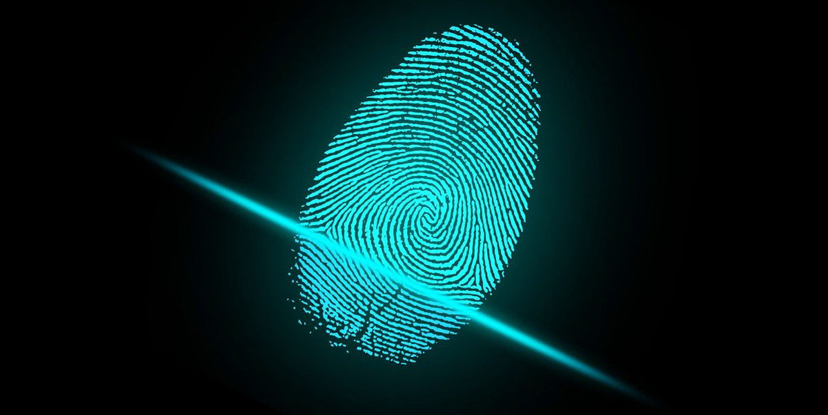 Fingerprint Login For NetCourier Driver App